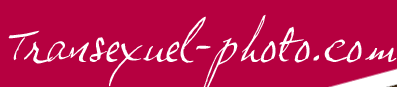 Transexuel mises a jour quotidienne